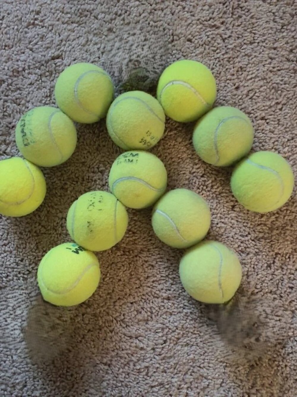 Bundle of 12 Used Tennis Balls for repurposing Crafts or Pet Toys